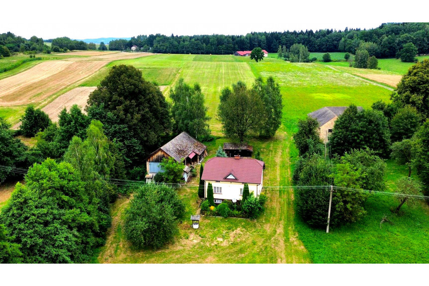 tarnowski, Szerzyny, SIEDLISKO Z DOMEM I LASEM, 3,10HA, SZERZYNY, GM. SZERZYNY, POWIAT TARNOWSKI