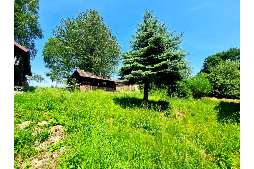 tarnowski, Szerzyny, SIEDLISKO Z DOMEM I LASEM, 3,10HA, SZERZYNY, GM. SZERZYNY, POWIAT TARNOWSKI