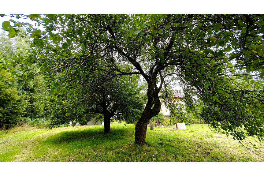 tarnowski, Szerzyny, SIEDLISKO Z DOMEM I LASEM, 3,10HA, SZERZYNY, GM. SZERZYNY, POWIAT TARNOWSKI