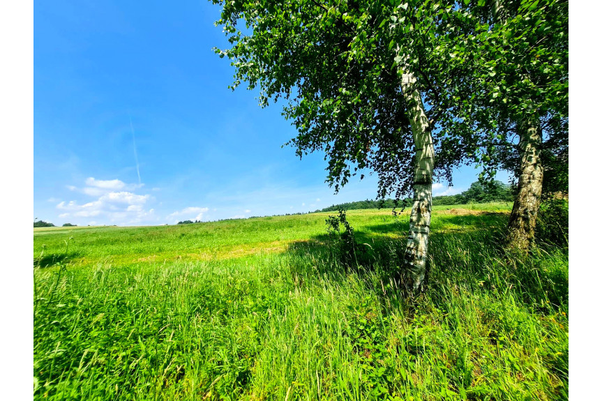 tarnowski, Szerzyny, SIEDLISKO Z DOMEM I LASEM, 3,10HA, SZERZYNY, GM. SZERZYNY, POWIAT TARNOWSKI