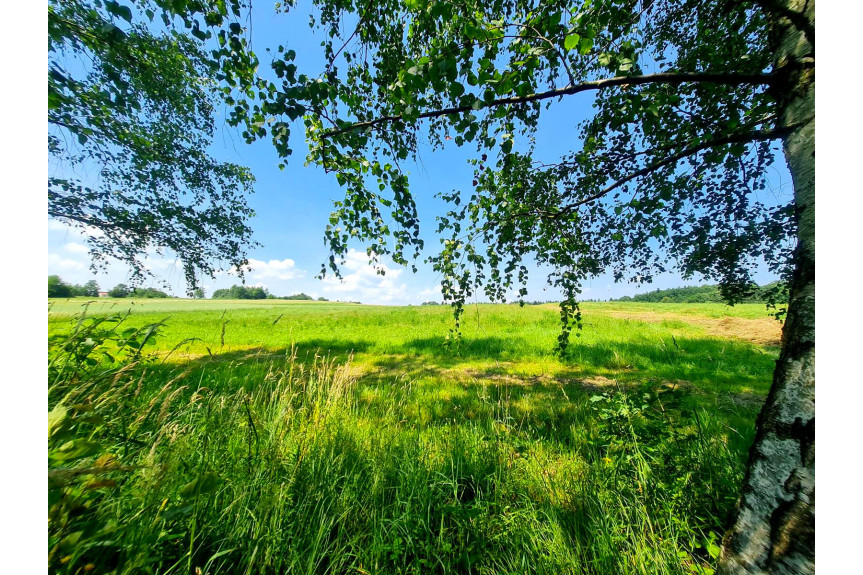 tarnowski, Szerzyny, SIEDLISKO Z DOMEM I LASEM, 3,10HA, SZERZYNY, GM. SZERZYNY, POWIAT TARNOWSKI