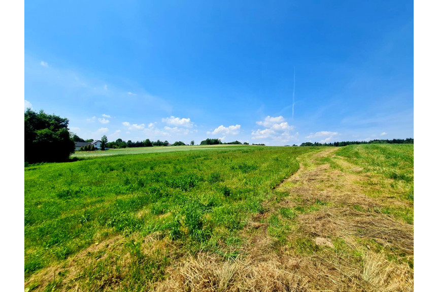 tarnowski, Szerzyny, SIEDLISKO Z DOMEM I LASEM, 3,10HA, SZERZYNY, GM. SZERZYNY, POWIAT TARNOWSKI