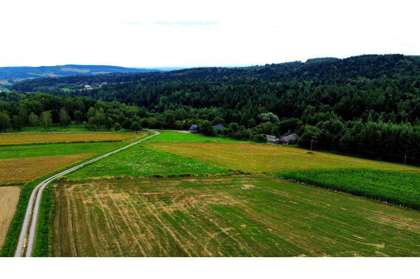 tarnowski, Szerzyny, SIEDLISKO Z DOMEM I LASEM, 3,10HA, SZERZYNY, GM. SZERZYNY, POWIAT TARNOWSKI