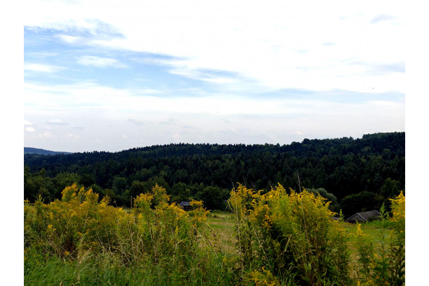 tarnowski, Szerzyny, SIEDLISKO Z DOMEM I LASEM, 3,10HA, SZERZYNY, GM. SZERZYNY, POWIAT TARNOWSKI