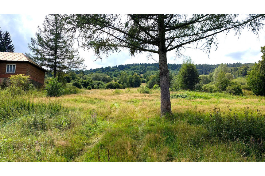 gorlicki, Sękowa, Małastów, DZIAŁKA INWESTYCYJNA PRZY WYCIĄGU NARCIARSKIM, MAŁASTÓW, GM. SĘKOWA, 60AR