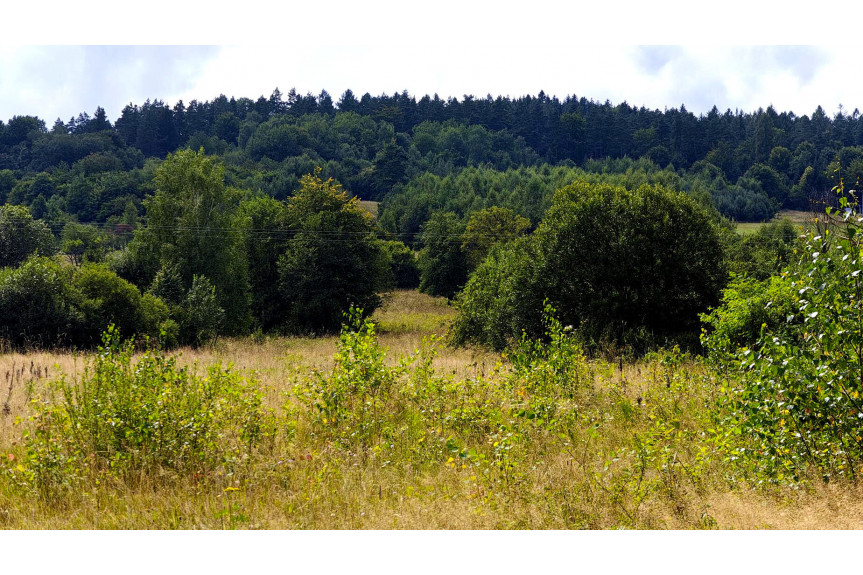 gorlicki, Sękowa, Małastów, DZIAŁKA INWESTYCYJNA PRZY WYCIĄGU NARCIARSKIM, MAŁASTÓW, GM. SĘKOWA, 60AR