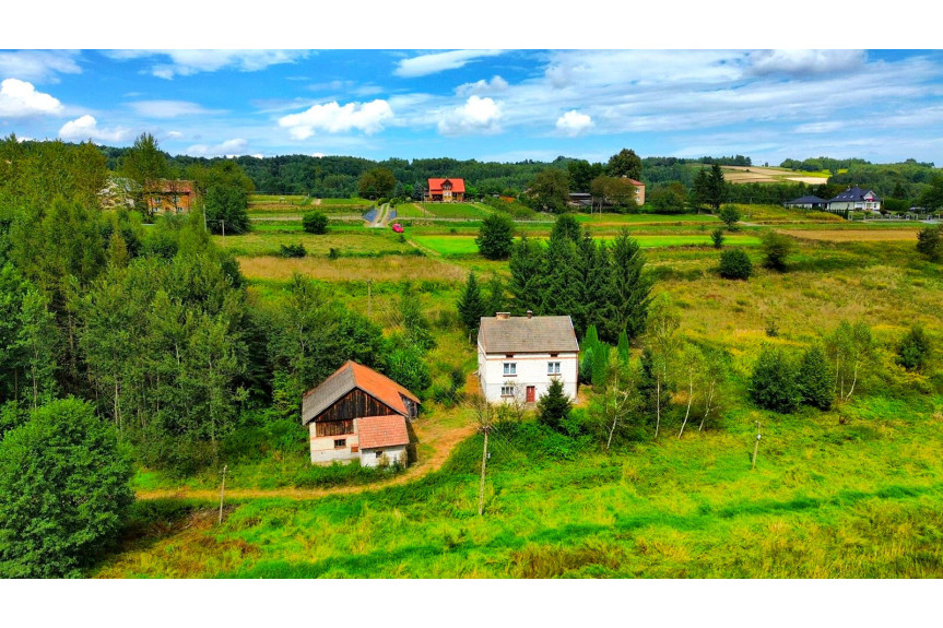 strzyżowski, Frysztak, Glinik Górny, SIEDLISKO Z DOMEM I LASEM, GLINIK GÓRNY, 2,85HA